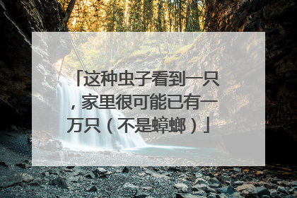 这种虫子看到一只，家里很可能已有一万只（不是蟑螂）