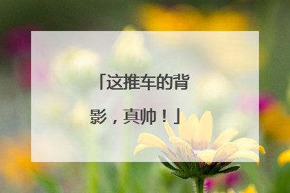 这推车的背影，真帅！