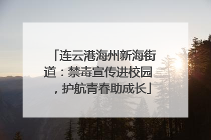 连云港海州新海街道：禁毒宣传进校园，护航青春助成长