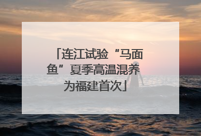 连江试验“马面鱼”夏季高温混养 为福建首次