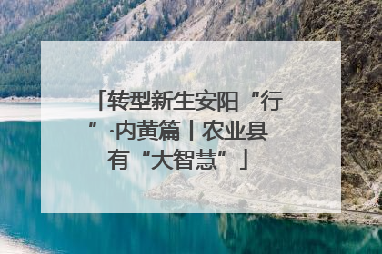 转型新生安阳“行”·内黄篇丨农业县有“大智慧”