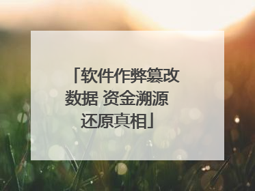 软件作弊篡改数据 资金溯源还原真相