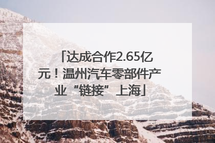 达成合作2.65亿元！温州汽车零部件产业“链接”上海
