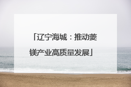 辽宁海城：推动菱镁产业高质量发展