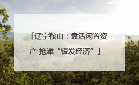 辽宁鞍山：盘活闲置资产 抢滩“银发经济”