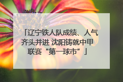 辽宁铁人队成绩、人气齐头并进 沈阳铸就中甲联赛“第一球市”
