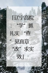 辽宁高院：“学”抓扎实 “查”见真章 “改”求实效