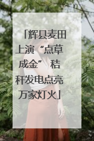 辉县麦田上演“点草成金” 秸秆发电点亮万家灯火