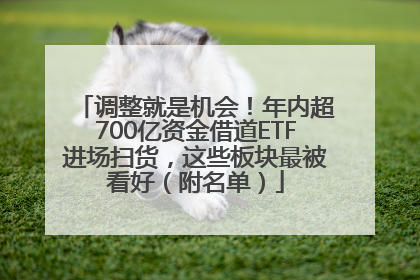 调整就是机会！年内超700亿资金借道ETF进场扫货，这些板块最被看好（附名单）