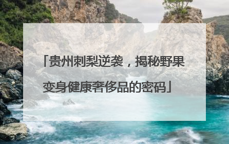 贵州刺梨逆袭，揭秘野果变身健康奢侈品的密码