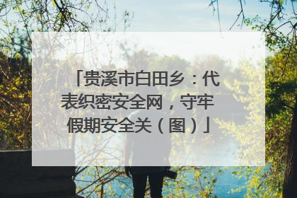 贵溪市白田乡：代表织密安全网，守牢假期安全关（图）