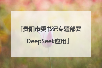 贵阳市委书记专题部署DeepSeek应用