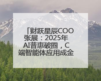 财跃星辰COO张展：2025年AI普惠破圈，C端智能体应用成金融转型关键