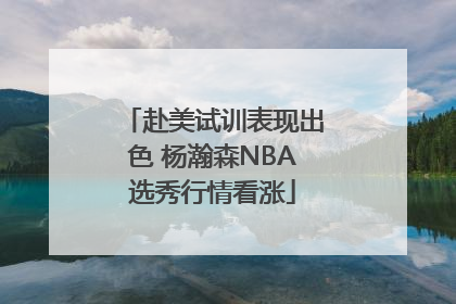 赴美试训表现出色 杨瀚森NBA选秀行情看涨