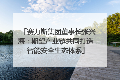 赛力斯集团董事长张兴海：期望产业链共同打造智能安全生态体系