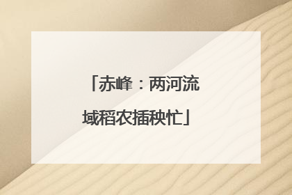 赤峰：两河流域稻农插秧忙