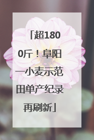 超1800斤！阜阳一小麦示范田单产纪录再刷新