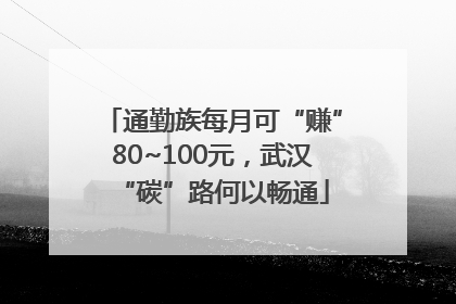 通勤族每月可“赚”80~100元，武汉“碳”路何以畅通