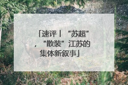 速评丨“苏超”，“散装”江苏的集体新叙事