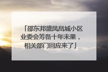 邵东邦盛凤凰城小区业委会筹备十年未果，相关部门回应来了