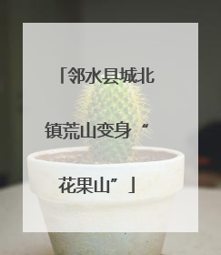 邻水县城北镇荒山变身“花果山”