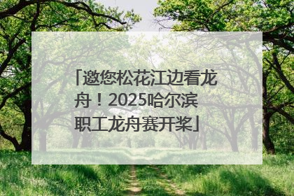 邀您松花江边看龙舟！2025哈尔滨职工龙舟赛开桨