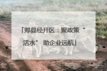 郏县经开区：聚政策“活水” 助企业远航
