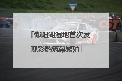 鄱阳湖湿地首次发现彩鹮筑巢繁殖