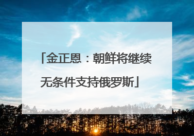 金正恩：朝鲜将继续无条件支持俄罗斯
