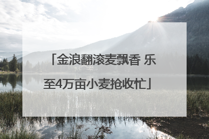 金浪翻滚麦飘香 乐至4万亩小麦抢收忙