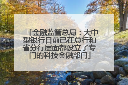 金融监管总局：大中型银行目前已在总行和省分行层面都设立了专门的科技金融部门