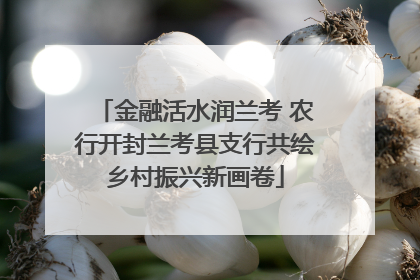 金融活水润兰考 农行开封兰考县支行共绘乡村振兴新画卷