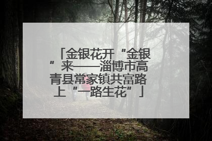 金银花开“金银”来——淄博市高青县常家镇共富路上“一路生花”
