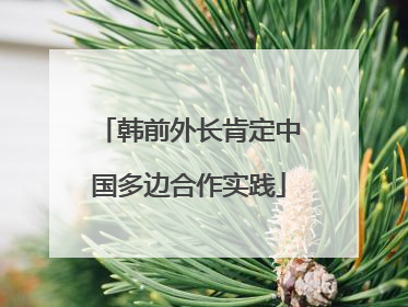 韩前外长肯定中国多边合作实践