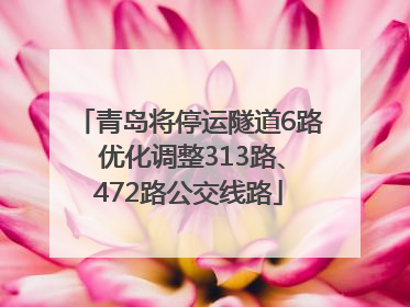 青岛将停运隧道6路 优化调整313路、472路公交线路