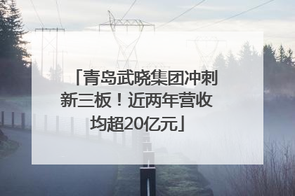 青岛武晓集团冲刺新三板！近两年营收均超20亿元
