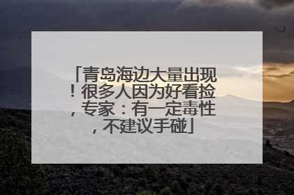 青岛海边大量出现！很多人因为好看捡，专家：有一定毒性，不建议手碰