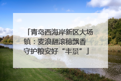 青岛西海岸新区大场镇：麦浪翻滚穗飘香 守护粮安好“丰景”