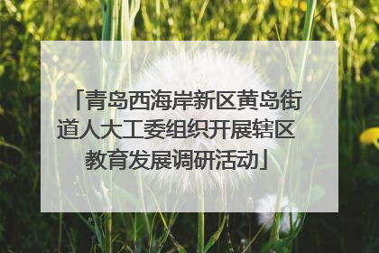 青岛西海岸新区黄岛街道人大工委组织开展辖区教育发展调研活动