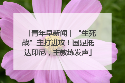 青年早新闻｜“生死战”主打进攻！国足抵达印尼，主教练发声