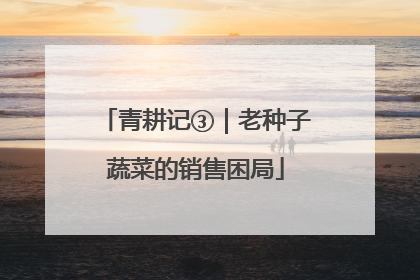 青耕记③｜老种子蔬菜的销售困局