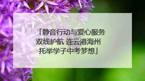 静音行动与爱心服务双线护航 连云港海州托举学子中考梦想
