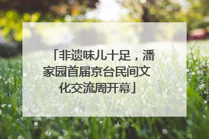 非遗味儿十足，潘家园首届京台民间文化交流周开幕