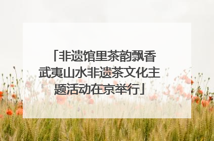 非遗馆里茶韵飘香 武夷山水非遗茶文化主题活动在京举行