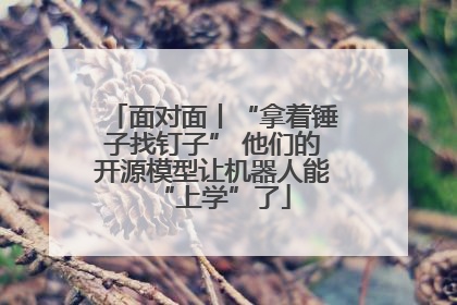 面对面丨“拿着锤子找钉子” 他们的开源模型让机器人能“上学”了