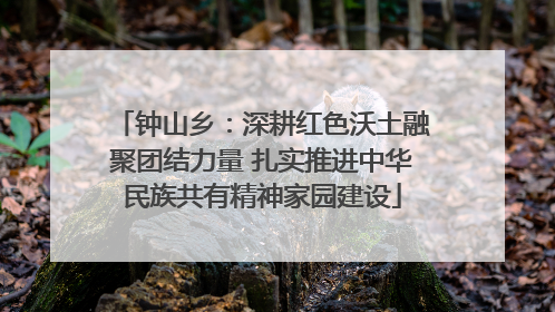 钟山乡：深耕红色沃土融聚团结力量 扎实推进中华民族共有精神家园建设