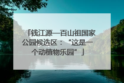钱江源—百山祖国家公园候选区：“这是一个动植物乐园”