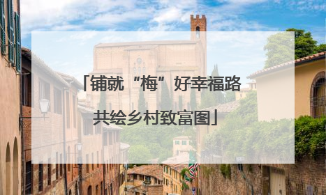 铺就“梅”好幸福路 共绘乡村致富图