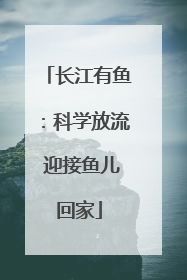 长江有鱼：科学放流 迎接鱼儿回家