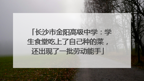 长沙市金阳高级中学：学生食堂吃上了自己种的菜，还出现了一批劳动能手